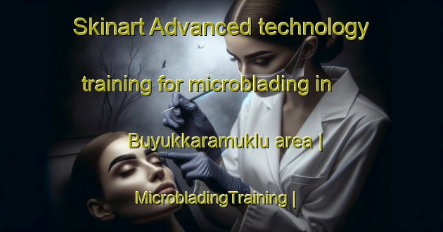Skinart Advanced technology training for microblading in Buyukkaramuklu area | MicrobladingTraining | MicrobladingClasses | SkinartTraining-Turkey